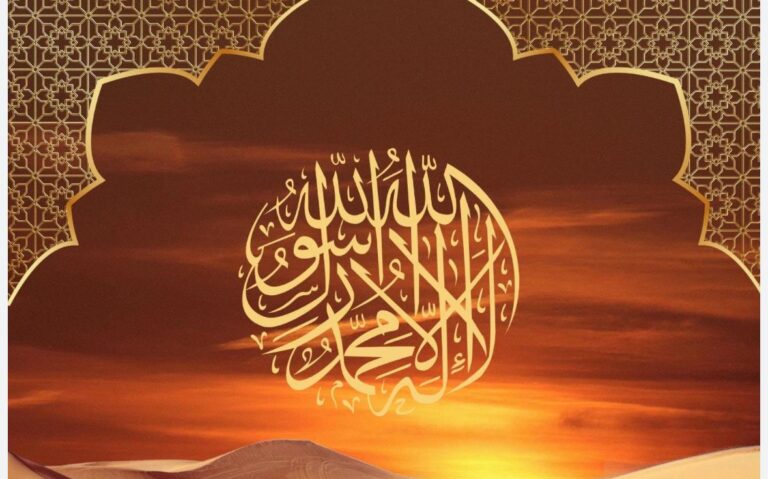 WhatsApp Image 2025-11-20 at 7.37